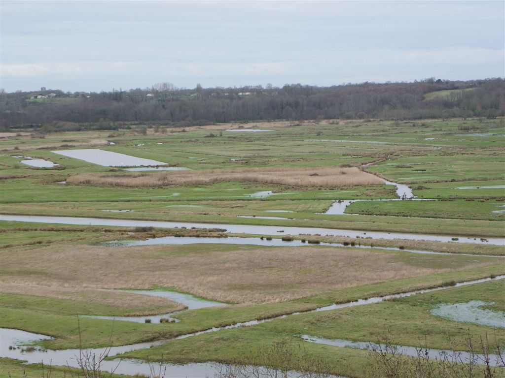 Marais seudre